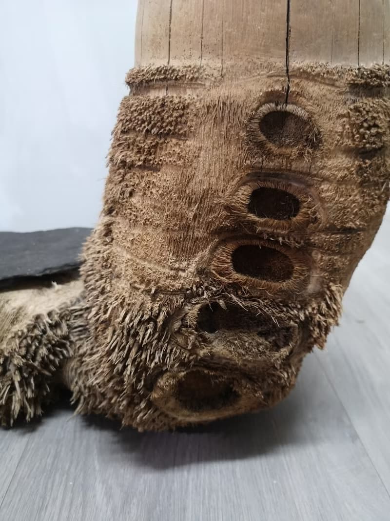 -雙樹頭- 花架 花座 展示架 盆栽架 多肉植物 木頭擺飾