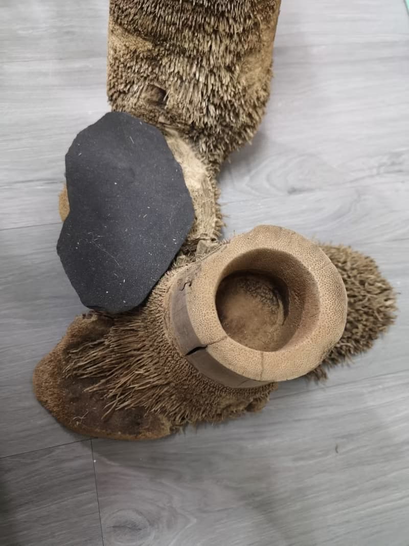 -雙樹頭- 花架 花座 展示架 盆栽架 多肉植物 木頭擺飾