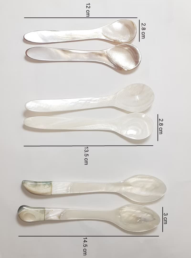 6x Mother-of-Pearl Caviar Spoons | Luxurious Shell Spoons for Caviar, Ice Cream