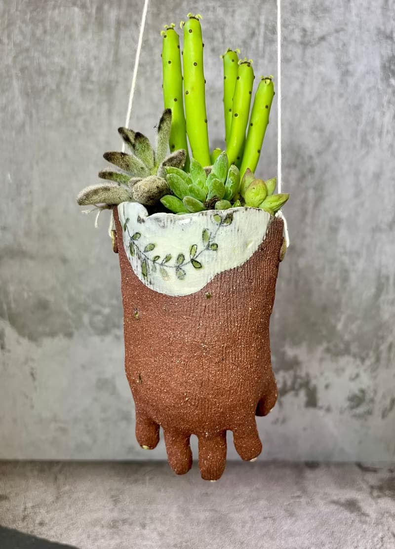 小手多肉植物盆栽