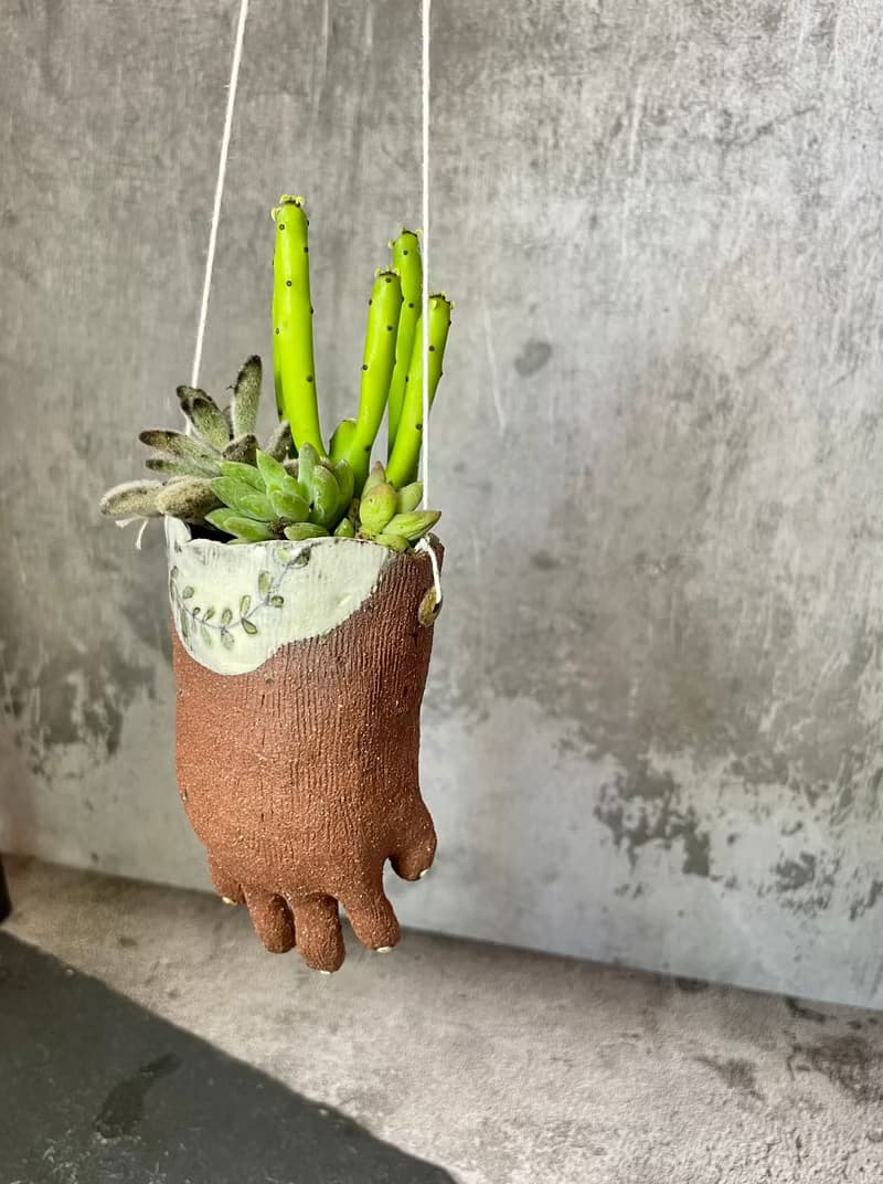 小手多肉植物盆栽