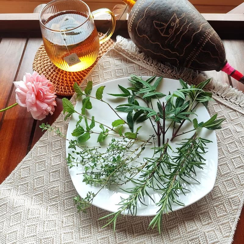 迷迭香花茶包-農園4種純淨香草-迷迭香+百里香+芳香萬壽菊+綠薄荷