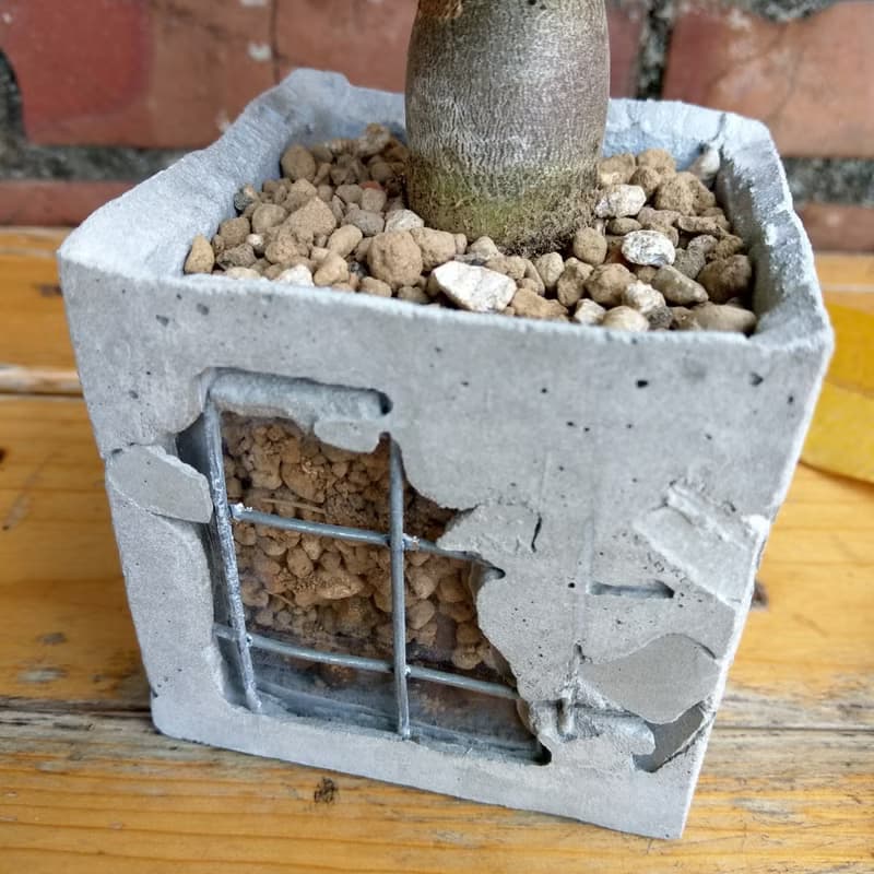 重生 Reborn - 水泥盆