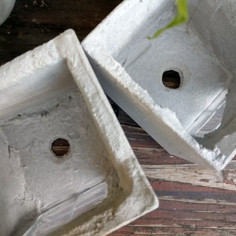 重生 Reborn - 水泥盆