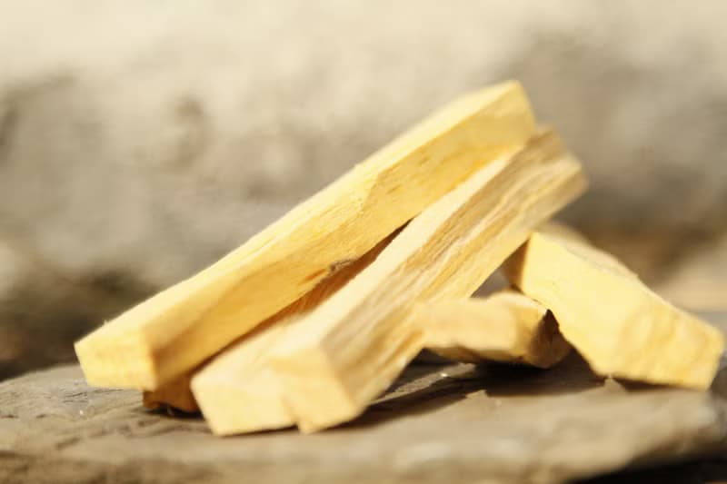 【淨化系列】送禮 高品質高油祕魯聖木 Palo Santo (詳見描述)