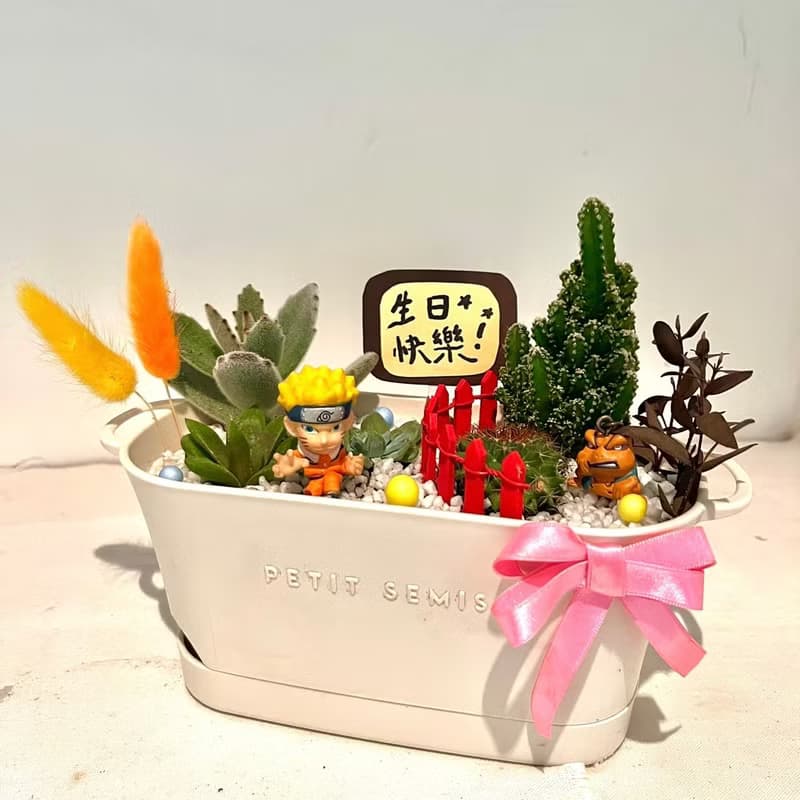 火影忍者 鳴人 漩渦鳴人 蛤蟆吉 多肉組盆 微景觀盆栽 多肉 送禮