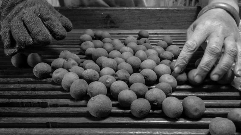 現貨煙燻桂圓-chocolat R 職人桂圓手工巧克力(4顆入/盒)