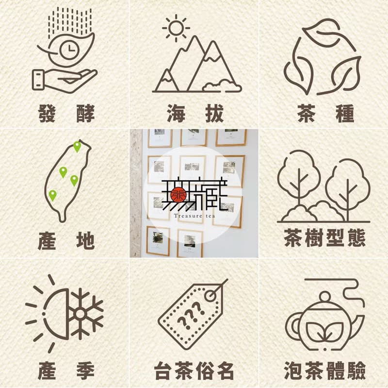 【體驗】台灣茶的秘密 - 跟著職人玩樂探索(平日班)