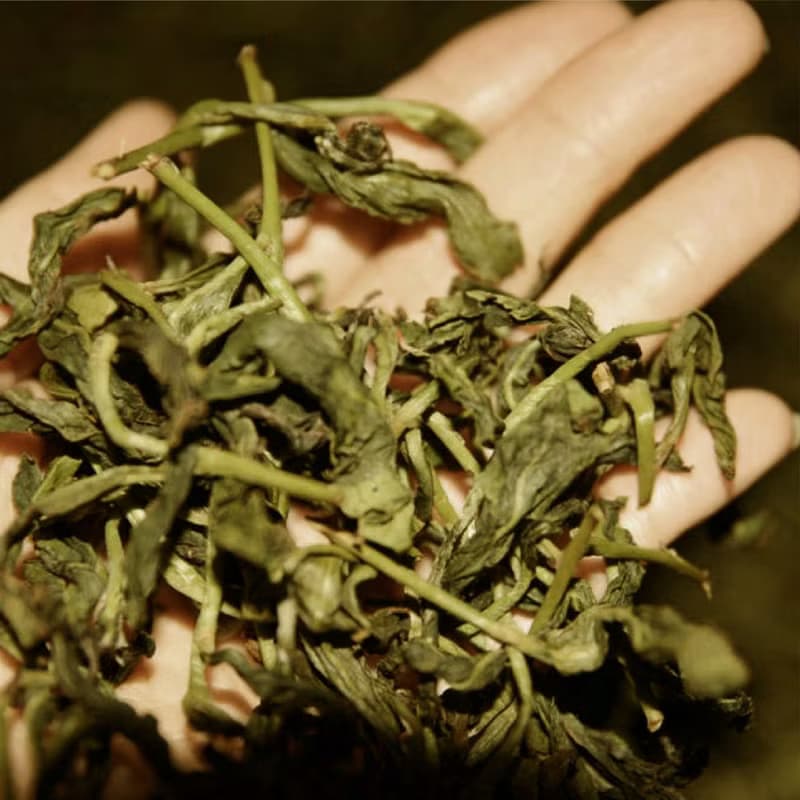【體驗】台灣茶的秘密 - 跟著職人玩樂探索(平日班)