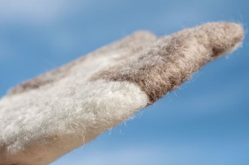情人節禮物 聖誕交換禮物 森林系羊毛氈杯墊 動物杯墊-貓咪吸水墊