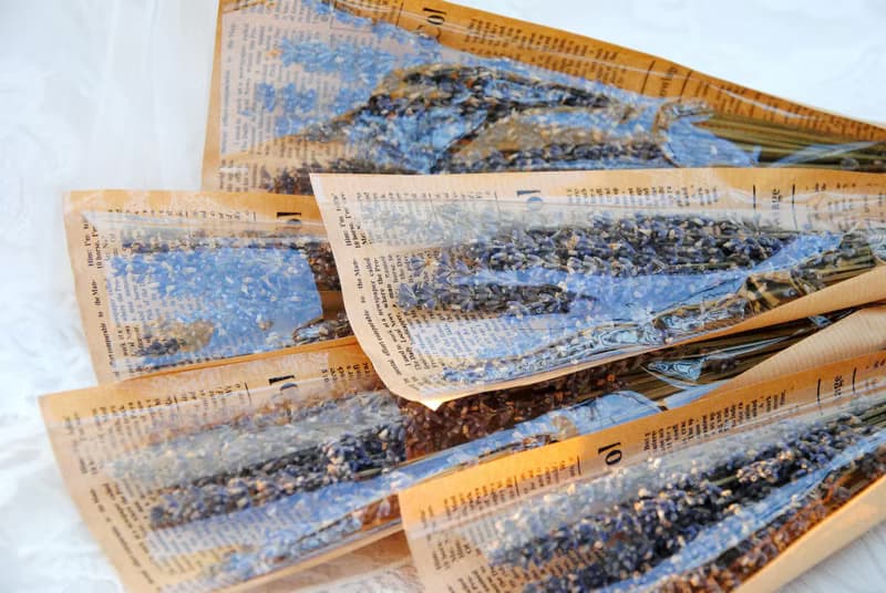 薰衣草乾燥花束 生日禮物 居家佈置