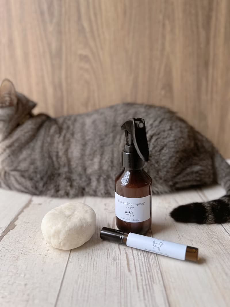 【體驗】韓國ICAD協會一日寵物香薰保養品證書課程 Pet Aroma Basic