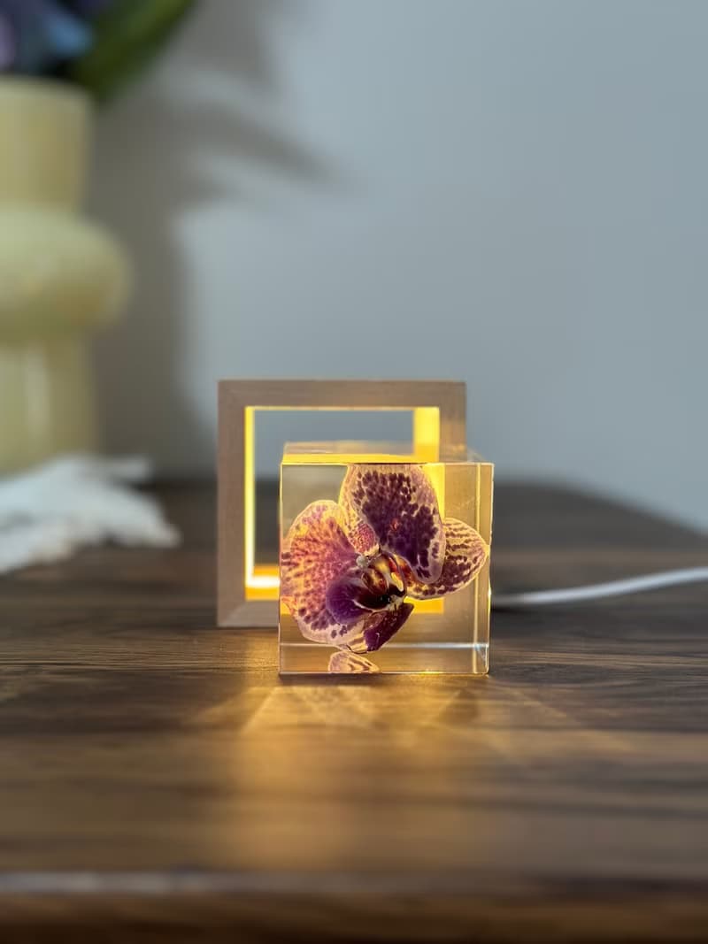 真花 \乾燥花 米奇蝴蝶蘭永生花樹脂夜燈