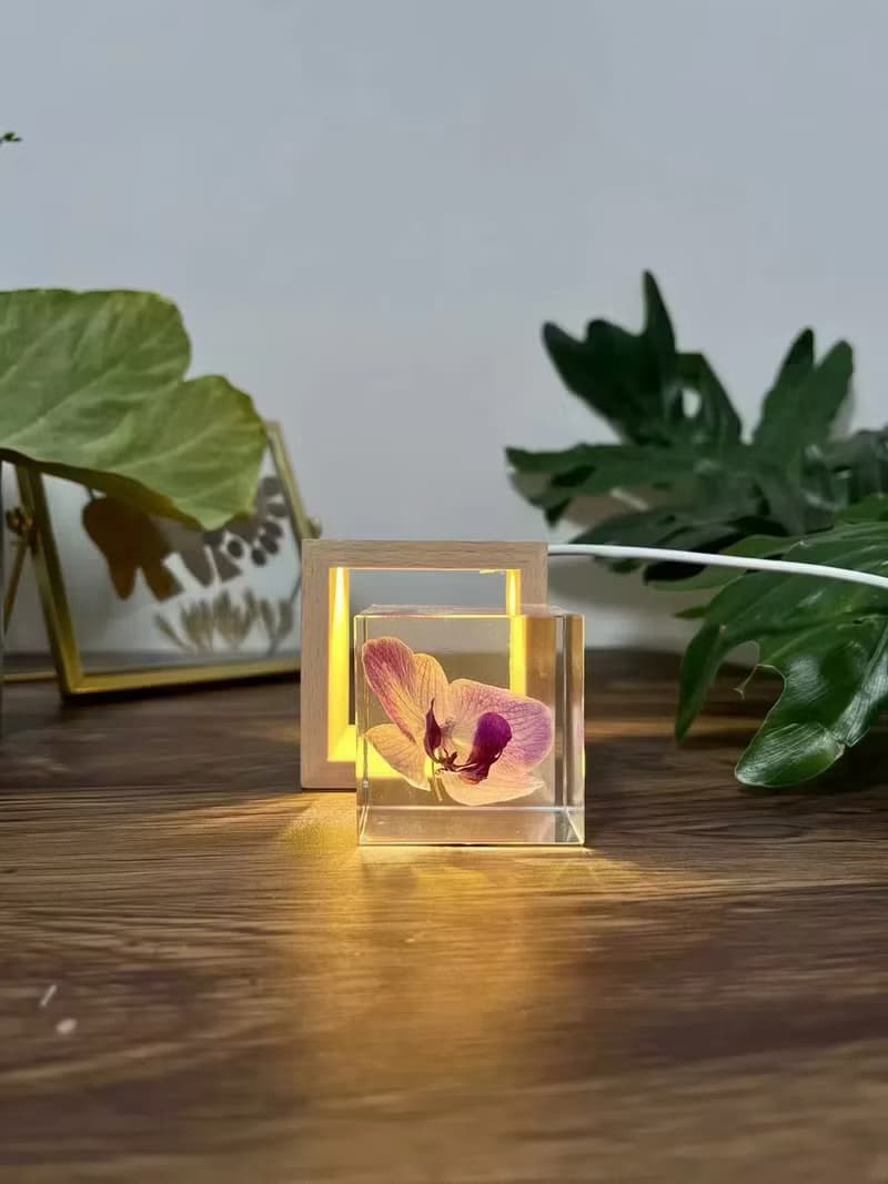 真花 \乾燥花 米奇蝴蝶蘭永生花樹脂夜燈