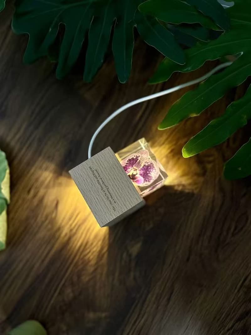 真花 \乾燥花 米奇蝴蝶蘭永生花樹脂夜燈