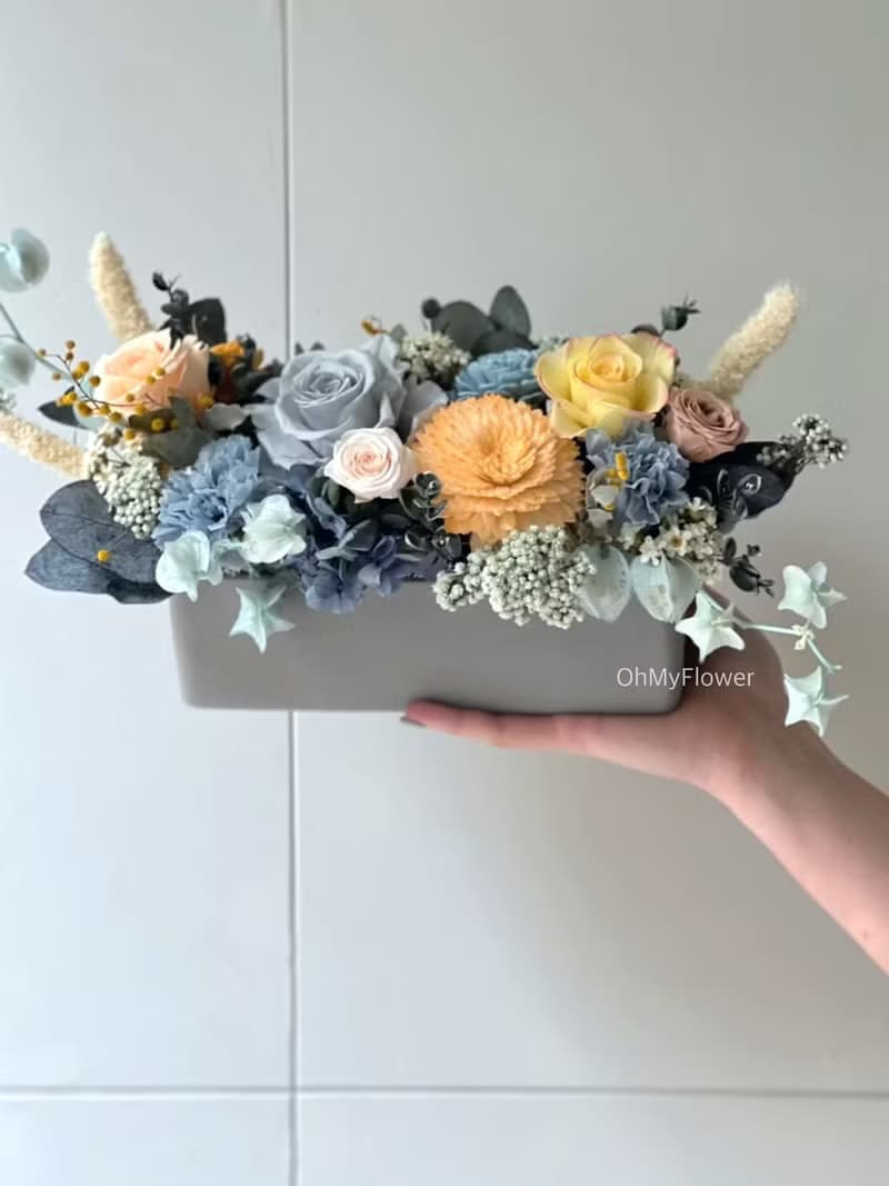 晨曦熹微 永生花長型盆花 祝賀花禮 生日花禮 喬遷花禮