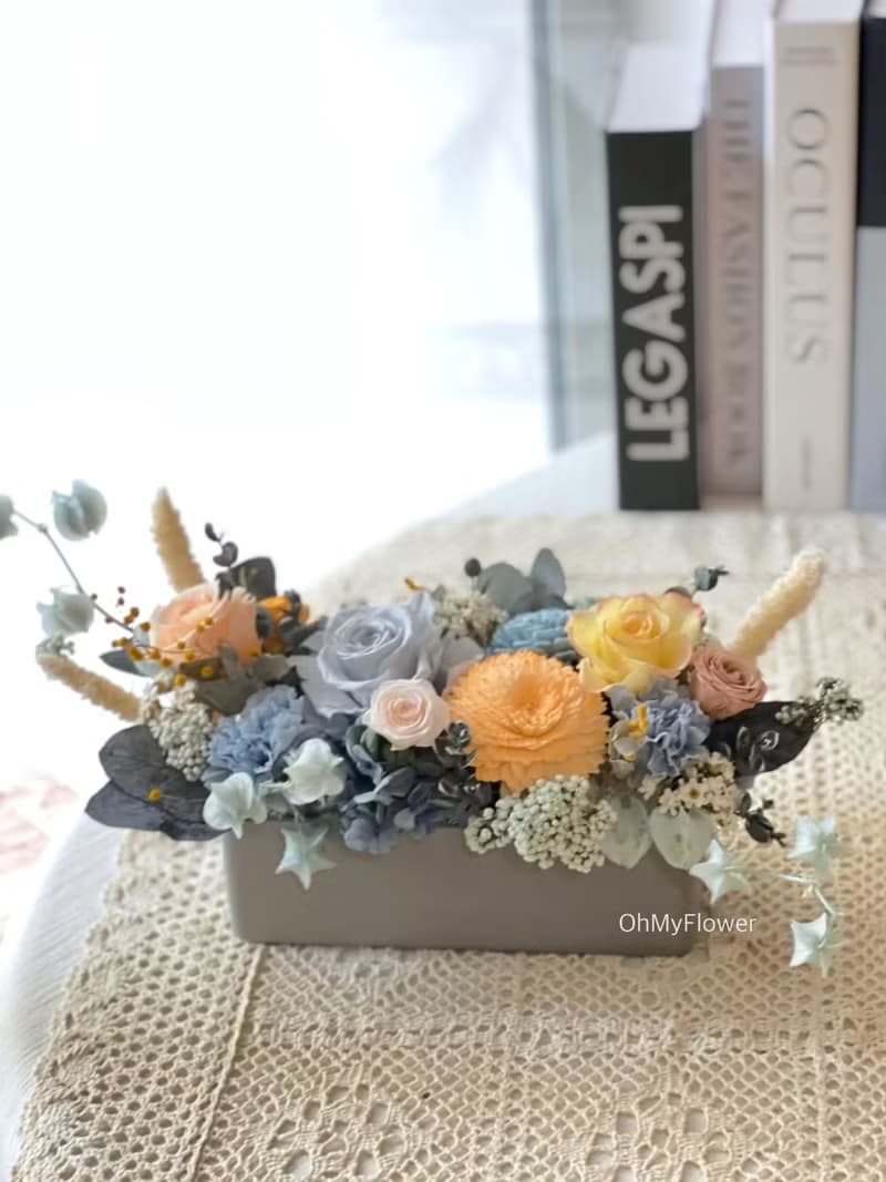 晨曦熹微 永生花長型盆花 祝賀花禮 生日花禮 喬遷花禮