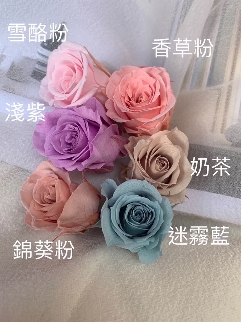 永生花の卡/手工卡片/手工書