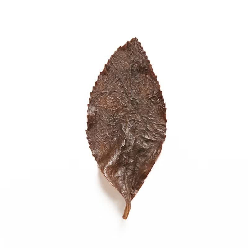羽曦堂【沿花凝露】頂級台灣紅烏龍茶
