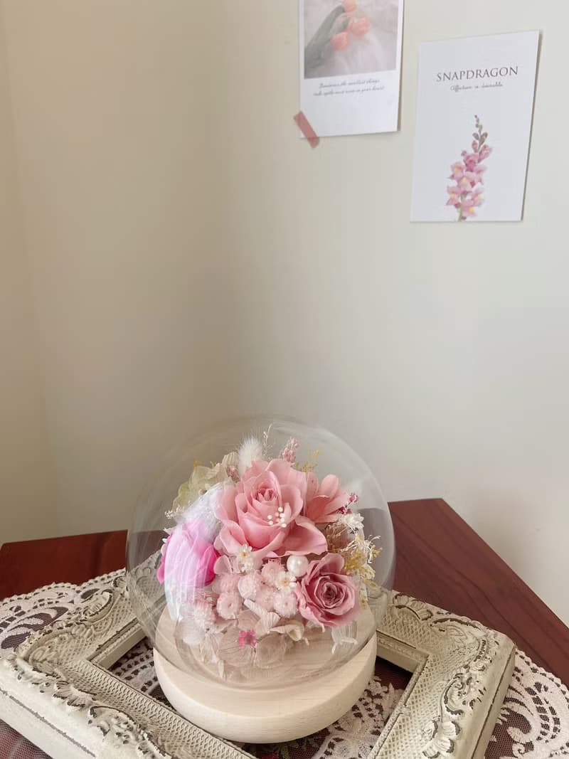 粉紅派對玻璃鐘罩 永生花 玫瑰 粉色 禮物 聖誕禮物 擺