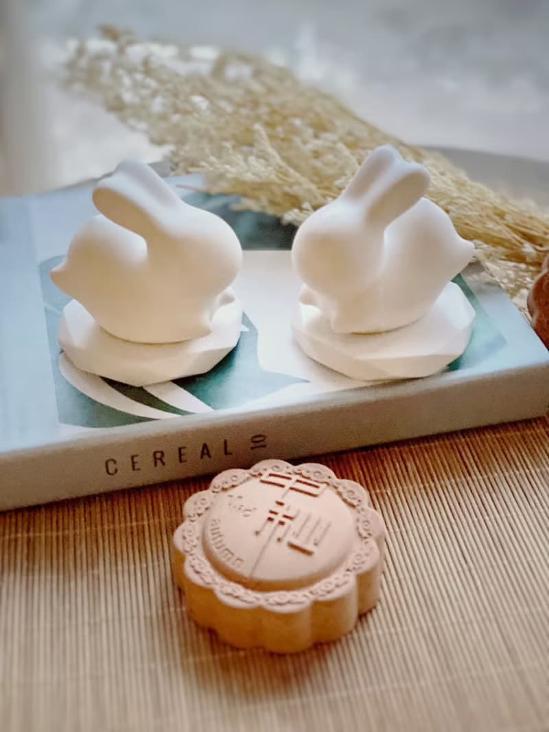 Wishlite 月萌兔擴香石