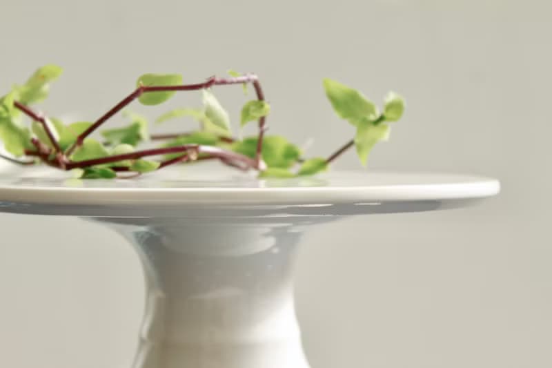 【日常瓷器】白瓷高腳平盤/6吋蛋糕盤/高腳壺承