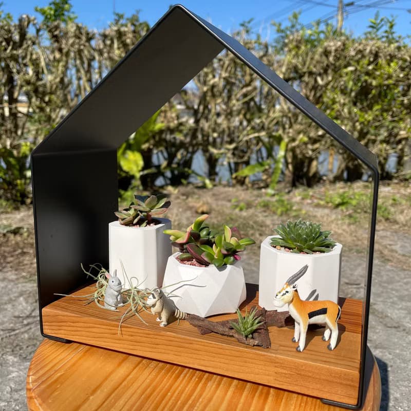 有樂宅家飾架　極適合擺飾多肉植物小盆栽　桌上展示架公仔置物架
