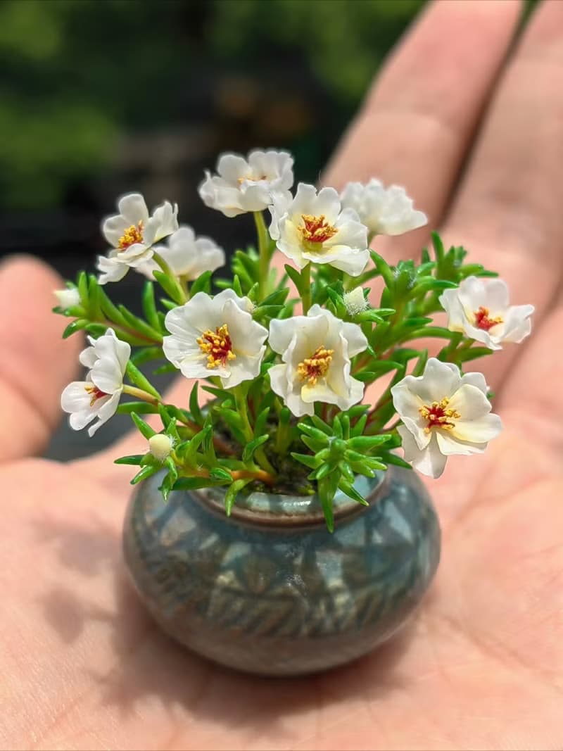微縮黏土太陽花半枝蓮迷你盆栽