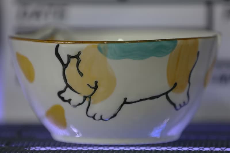 柴犬大學 柴犬創意碗盤 柴犬造型大麵碗 泡麵碗 柴犬碗 送禮小物