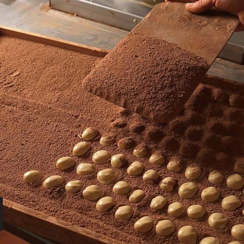 CATÀNIES CUDIÉ 卡塔尼斯 酷迪耶 杏仁綠檸檬