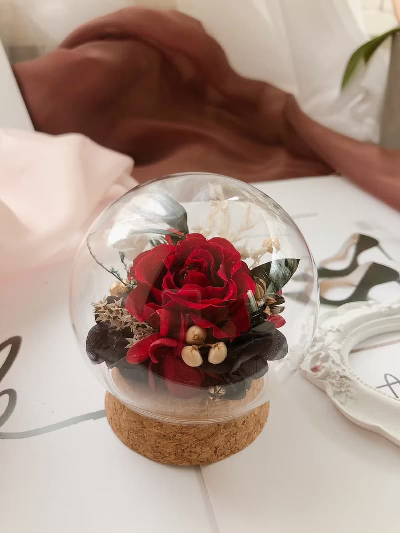 永生花 玻璃罩 永生玫瑰花 乾燥花 紀念日禮物 祝賀禮物 盆花