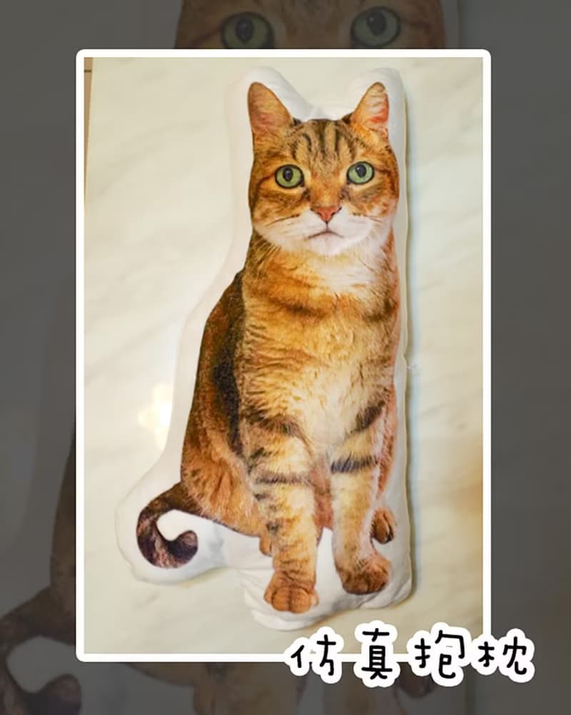 寵物、人像照片仿真抱枕 30-60cm (宅配)