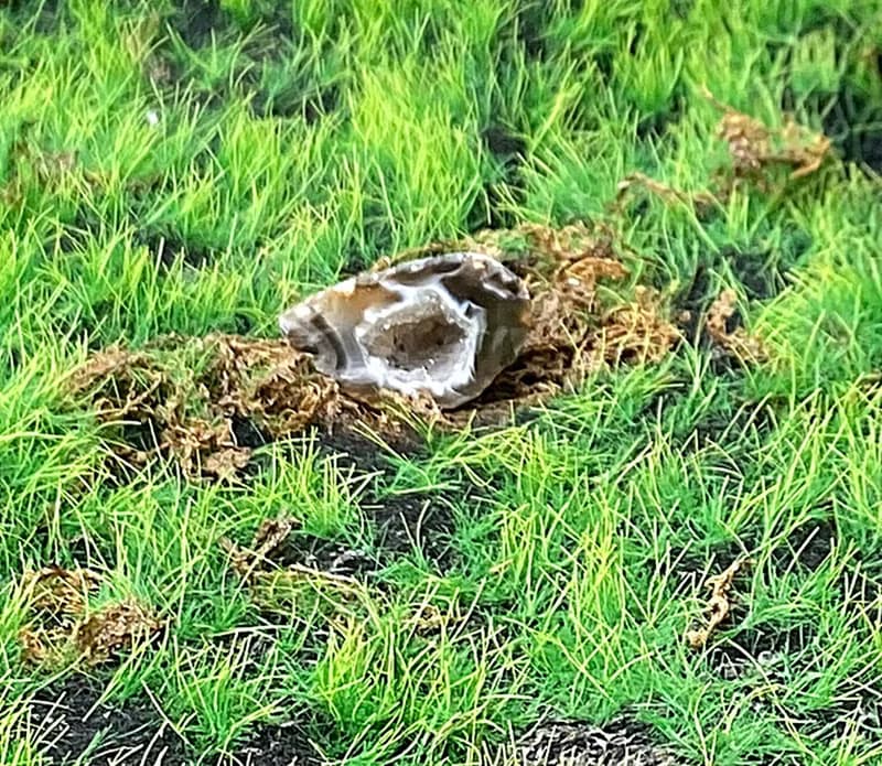 能量擺飾-瑪瑙可愛小晶洞聚寶盆 招財 療癒 開運 原礦 快速出貨