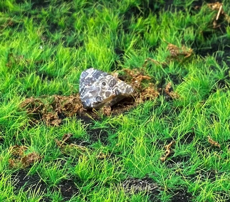 能量擺飾-瑪瑙可愛小晶洞聚寶盆 招財 療癒 開運 原礦 快速出貨