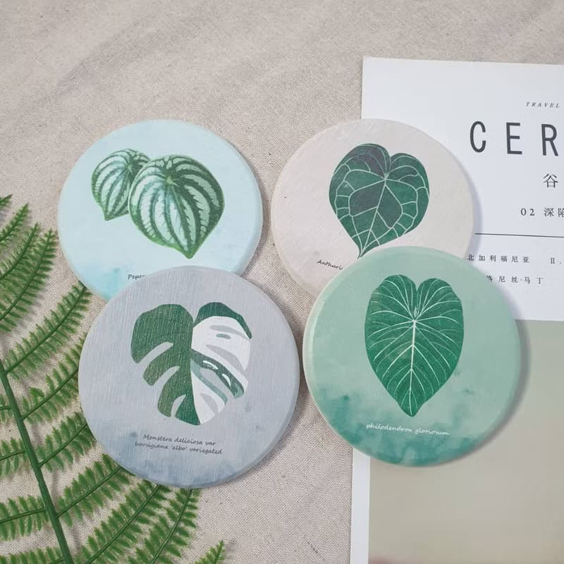 觀葉植物 杯墊 珪藻土 龜背芋