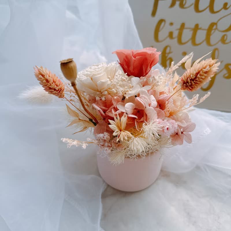 Dreams 乾燥花 乾燥花盆 永生盆花 畢業禮物 花禮 永生花 不凋花