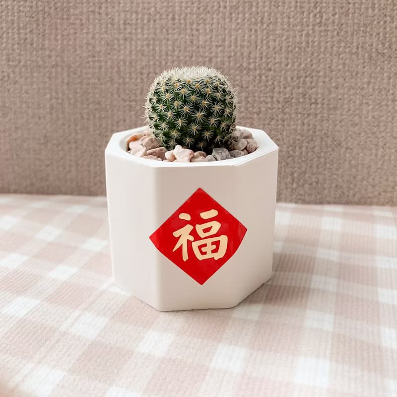 多肉植物擴香石盆栽/多肉植物/仙人掌 水泥盆栽