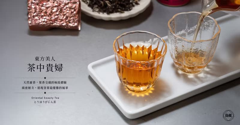 【ESG永續禮盒】穿穿不息小冠茶茗茶禮盒