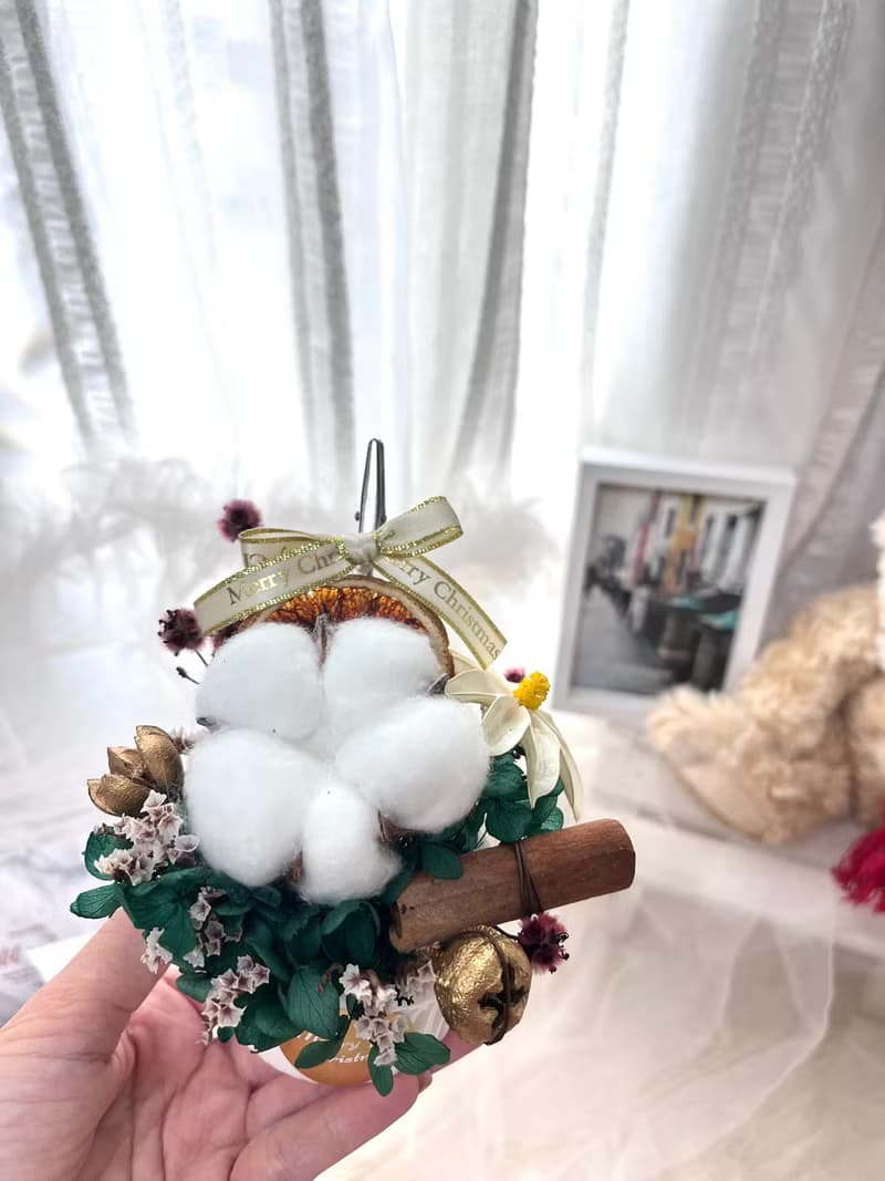 聖誕節限定 繽紛療癒系盆花/聖誕節交換禮物/實用小物