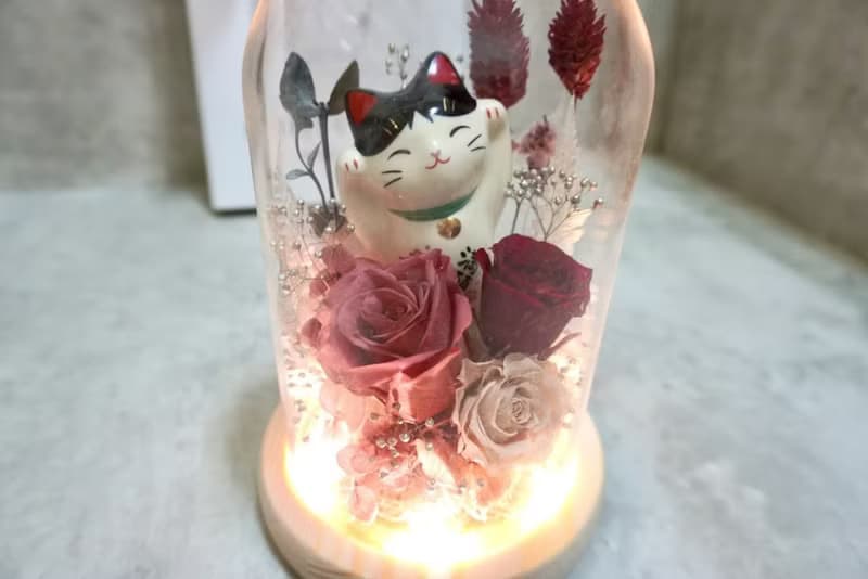 招財貓永生花玻璃罩 小夜燈設計・開幕/居家桌飾花禮