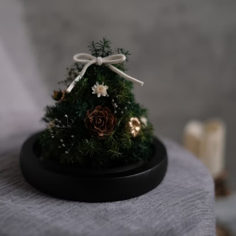 【永生雪松聖誕樹】玻璃罩 燈座款