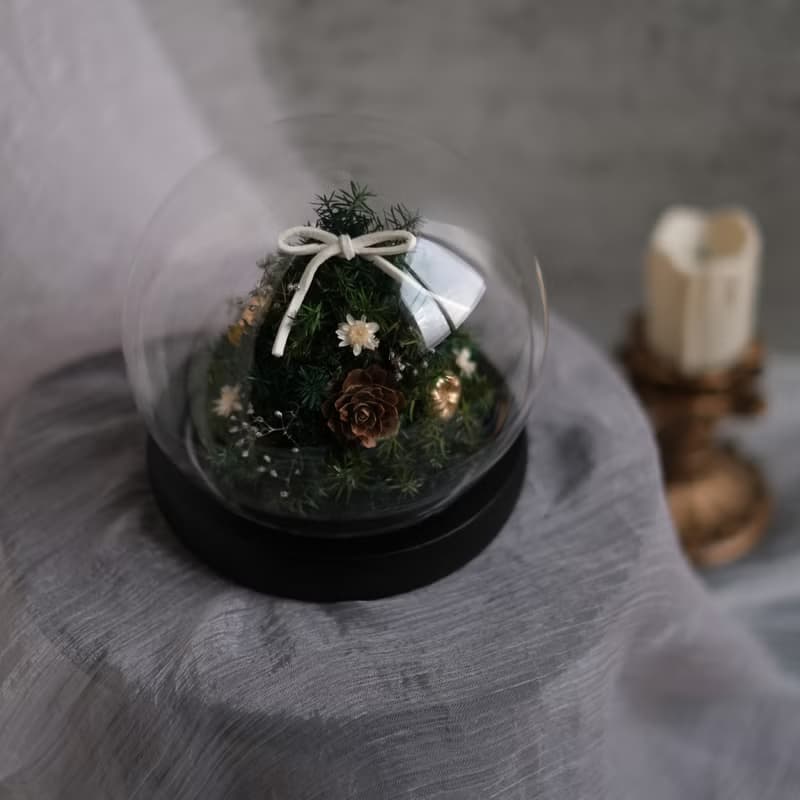 【永生雪松聖誕樹】玻璃罩 燈座款