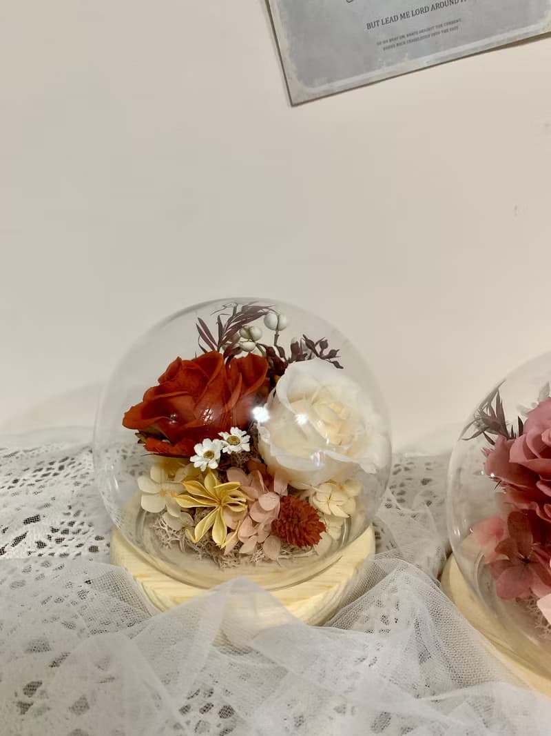 sueing_blossom 永生玫瑰玻璃罩 永生玫瑰 乾燥花 永生花