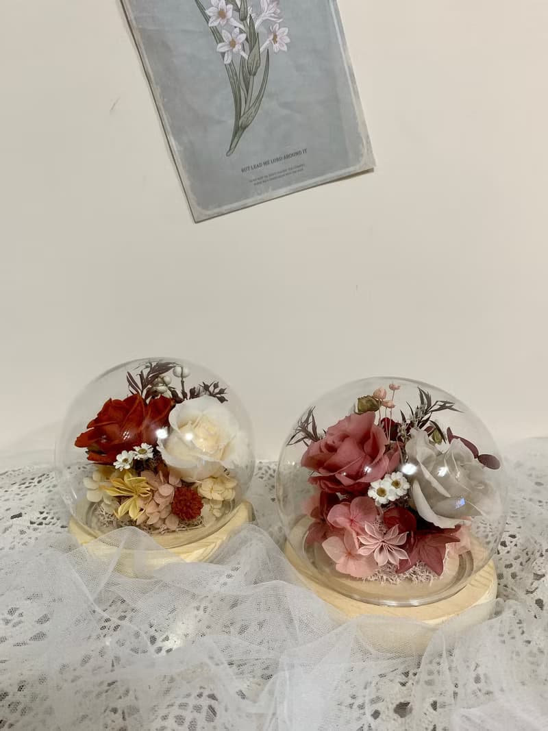 sueing_blossom 永生玫瑰玻璃罩 永生玫瑰 乾燥花 永生花