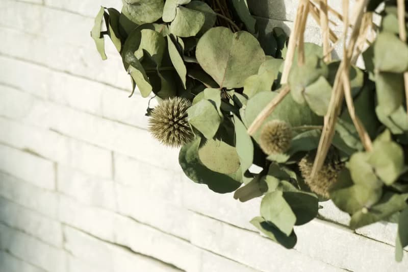 尤加利葉 清香門掛花環