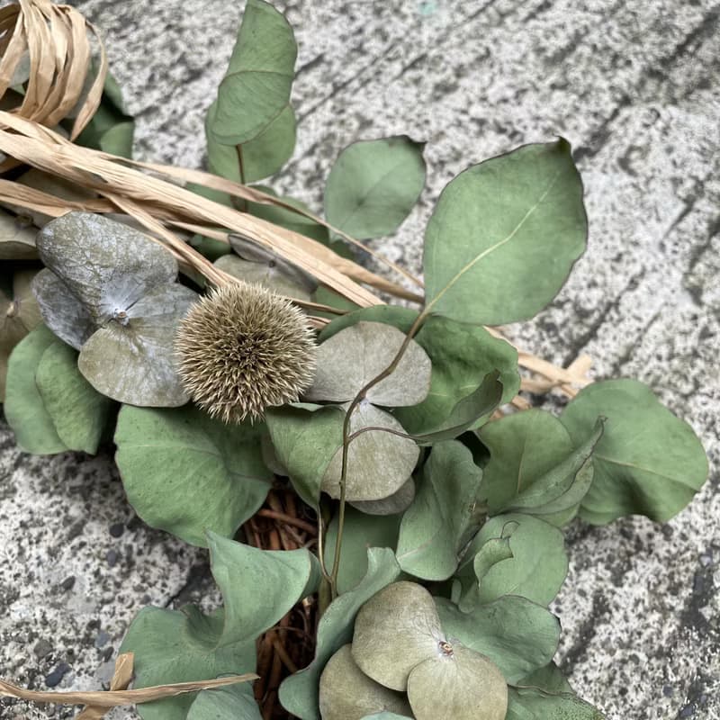 尤加利葉 清香門掛花環