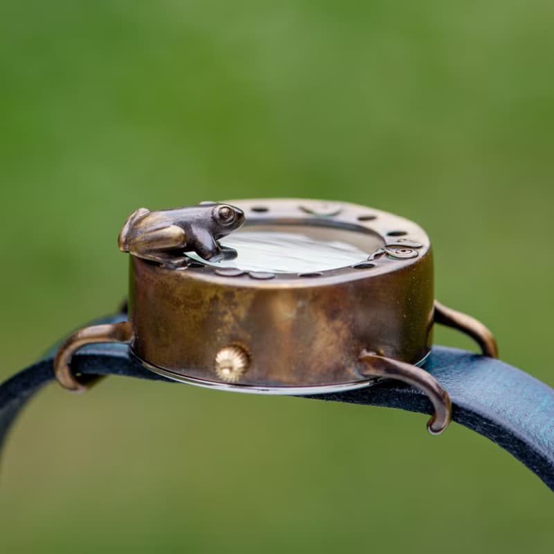 窺視著池面的青蛙 手錶 M 極光