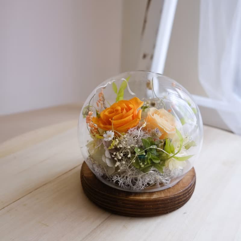 【永生花鍾罩】乾燥花/永生花/鍾罩/禮物/橘色/送禮/夜燈