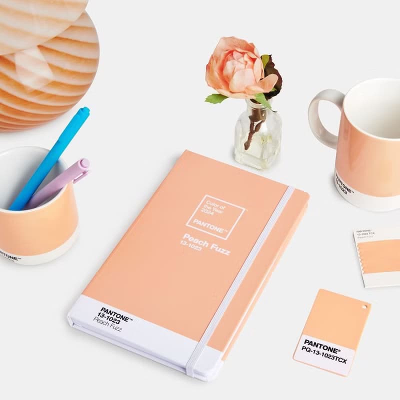PANTONE 彩通 2024柔和桃限定色