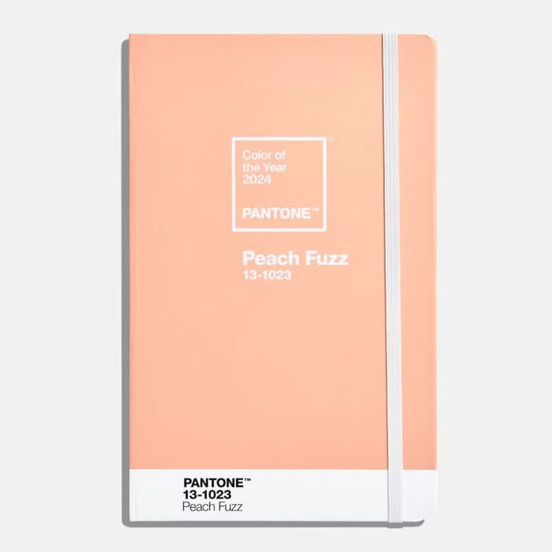 PANTONE 彩通 2024柔和桃限定色